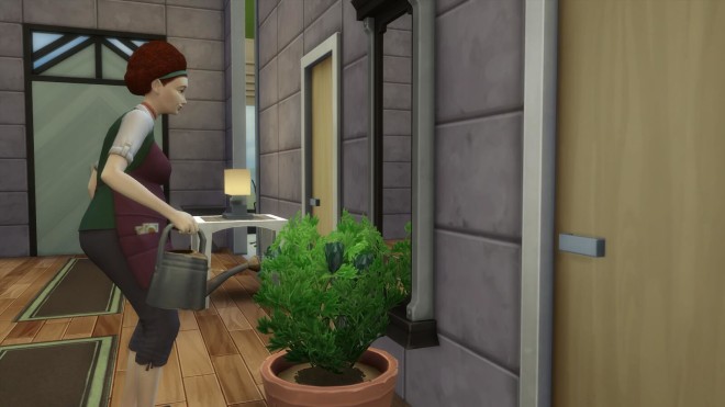 Sims 4 Gardener